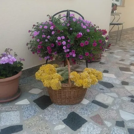 Valentino Πανσιόν