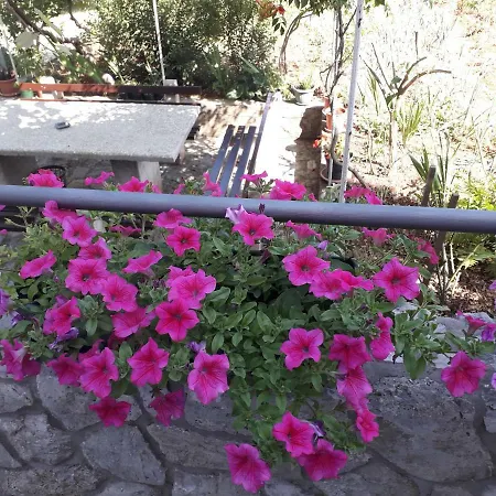 Valentino Πανσιόν 3*